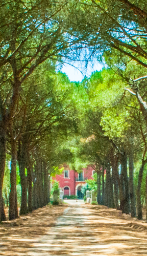 La Nostra Azienda